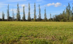 Terreno en Barrio Privado